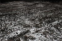 Landscapes Series